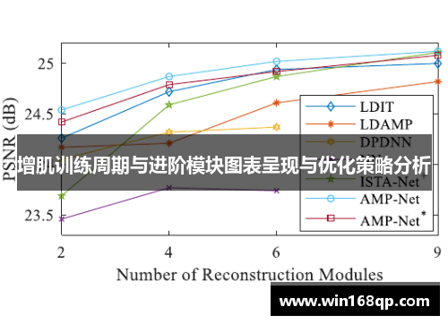 增肌训练周期与进阶模块图表呈现与优化策略分析